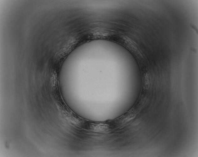 X0000101220463200807111101