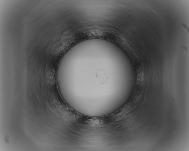 X0000101220464200807111101