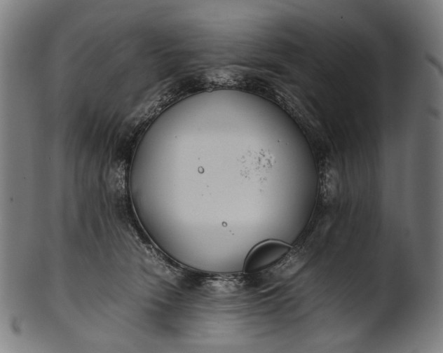 X0000101220466200807111101