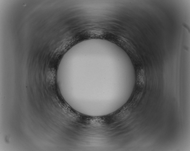 X0000101220468200807111101