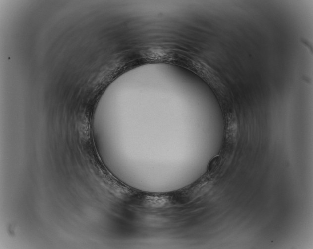 X0000101220469200807111101