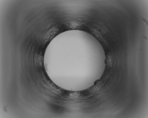 X0000101220470200807111101