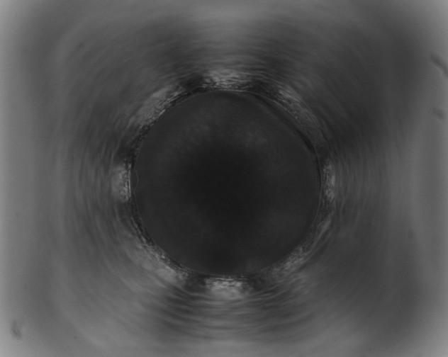 X0000101220471200807111101