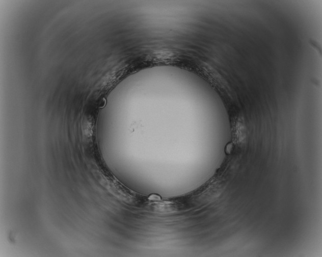 X0000101220472200807111101