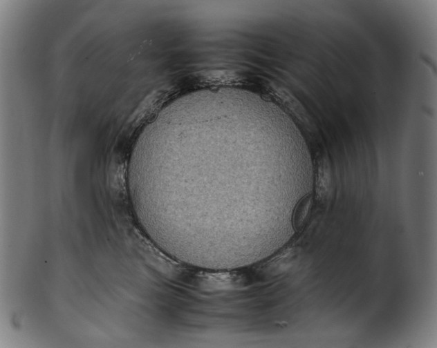 X0000101220473200807111101