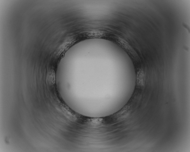 X0000101220474200807111101