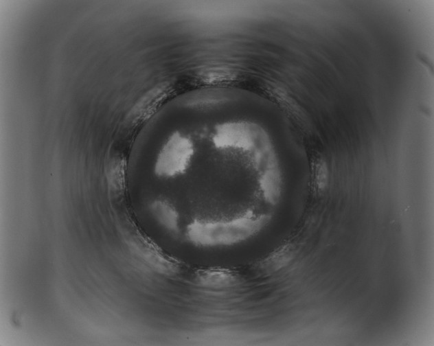 X0000101220475200807111101
