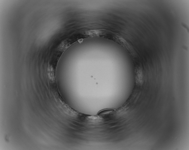 X0000101220477200807111101