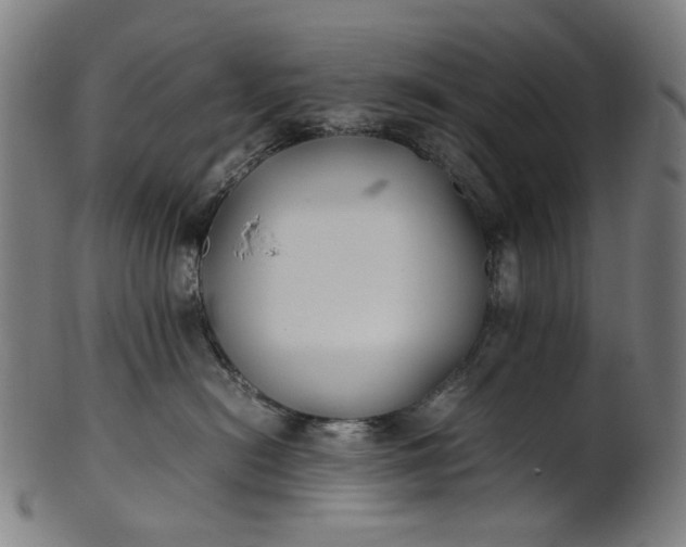 X0000101220478200807111101