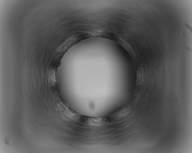 X0000101220479200807111101