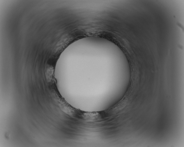 X0000101220480200807111101
