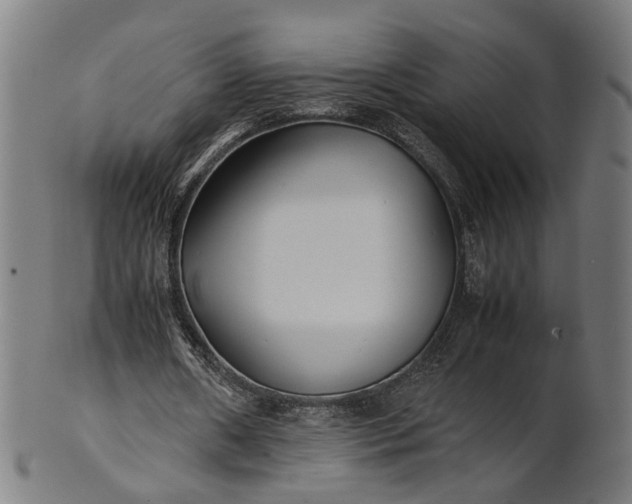 X0000101220482200807111100