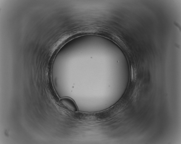 X0000101220483200807111100