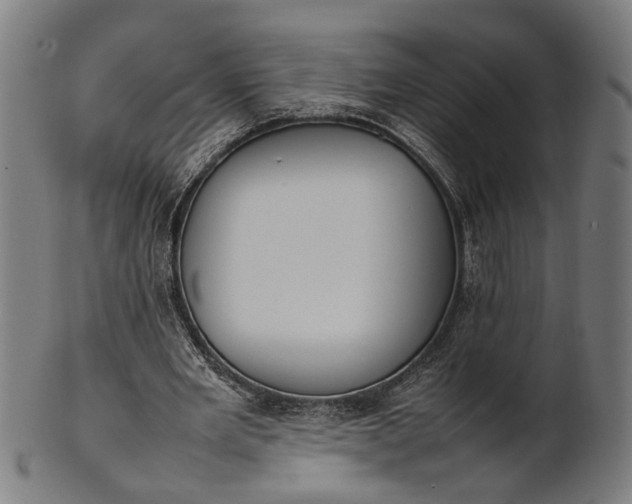 X0000101220485200807111100