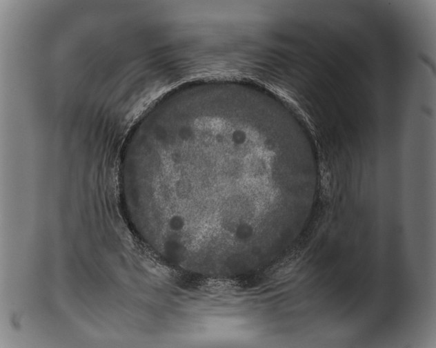 X0000101220487200807111100