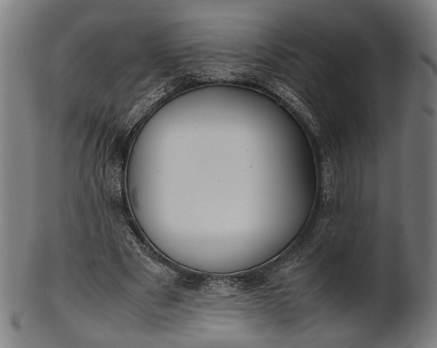 X0000101220489200807111100