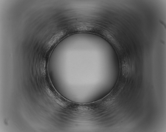 X0000101220490200807111100