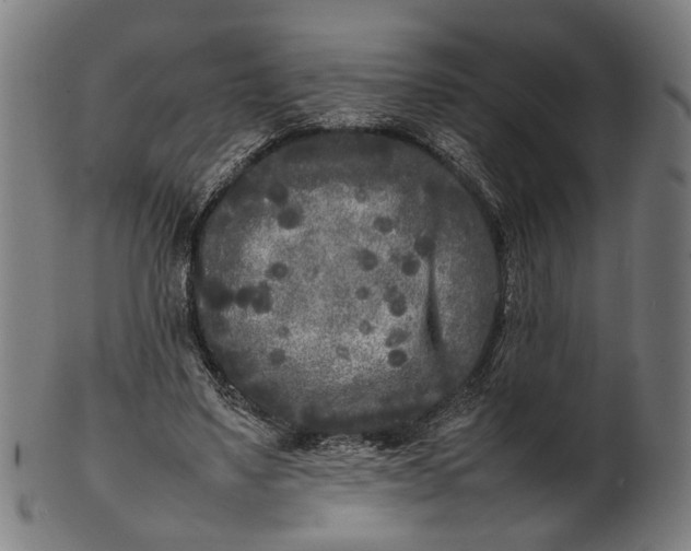 X0000101220491200807111100