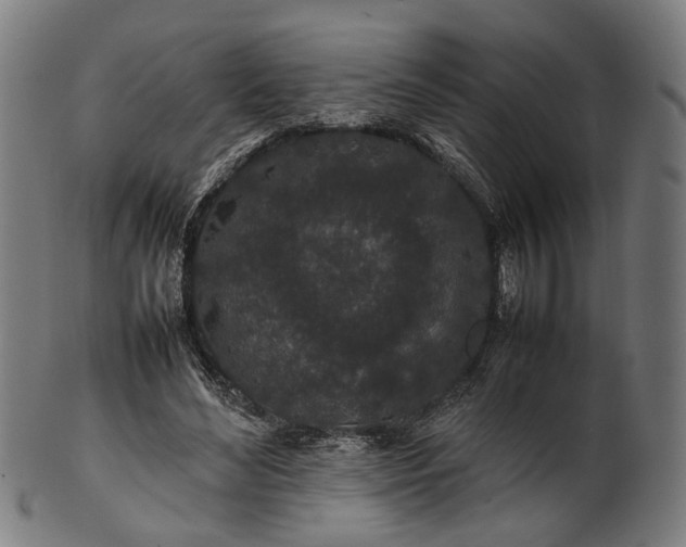 X0000101220492200807111100
