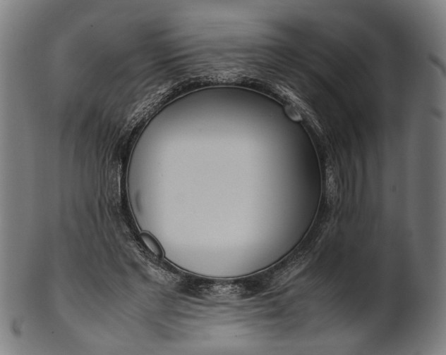 X0000101220493200807111100