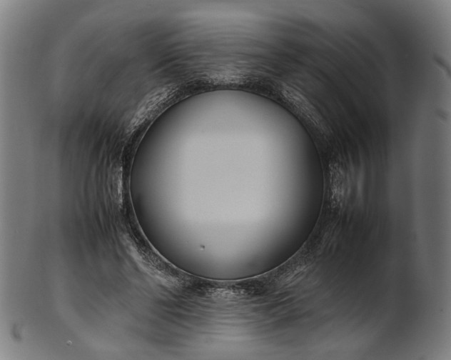 X0000101220494200807111100