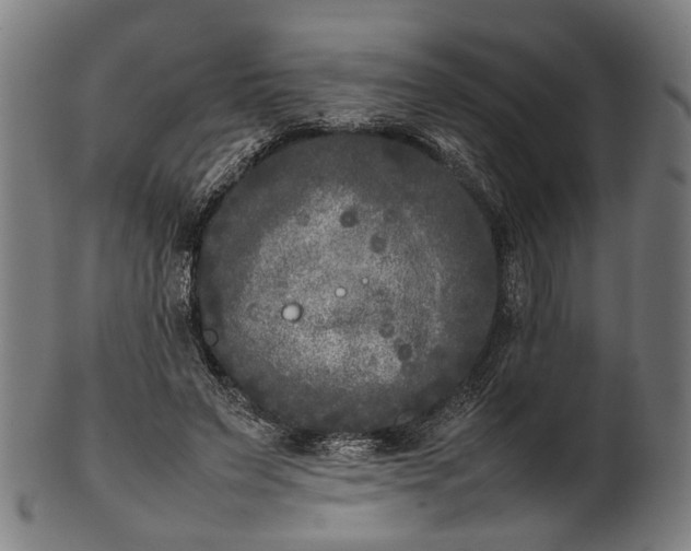 X0000101220495200807111100