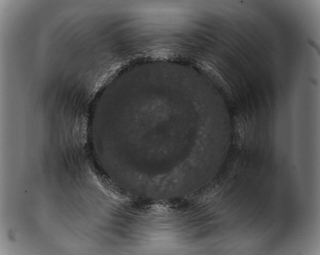 X0000101220496200807111100