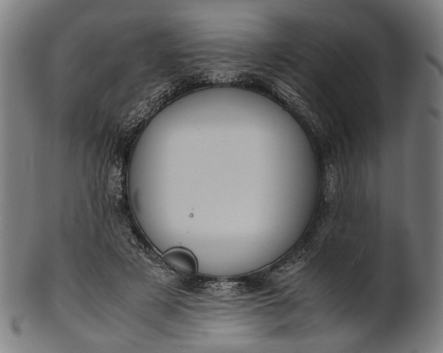 X0000101220497200807111100