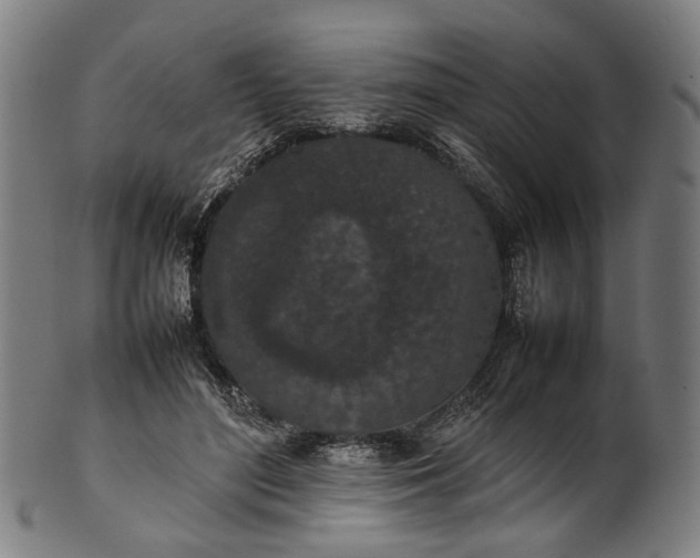 X0000101220500200807111100