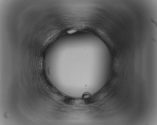 X0000101220501200807111100
