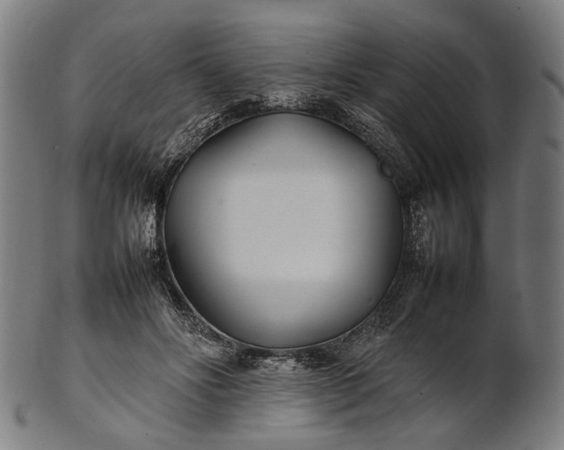 X0000101220502200807111100