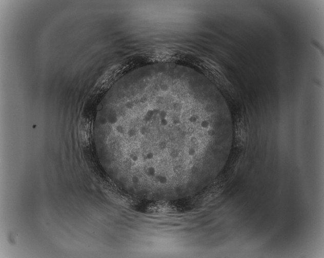 X0000101220503200807111100