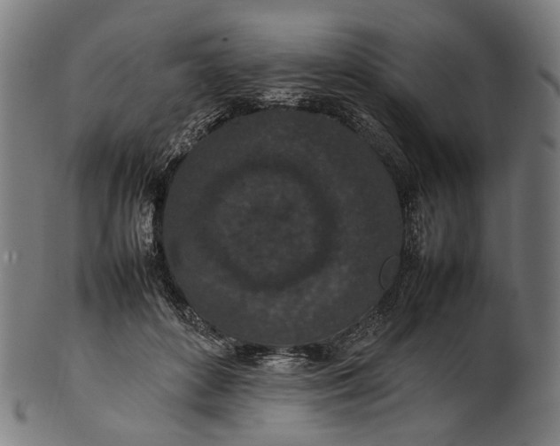 X0000101220504200807111100