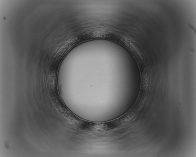 X0000101220505200807111100