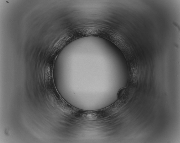 X0000101220506200807111100