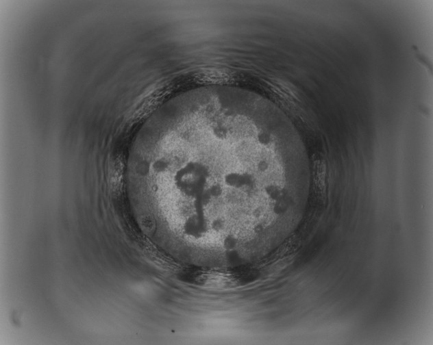 X0000101220507200807111100