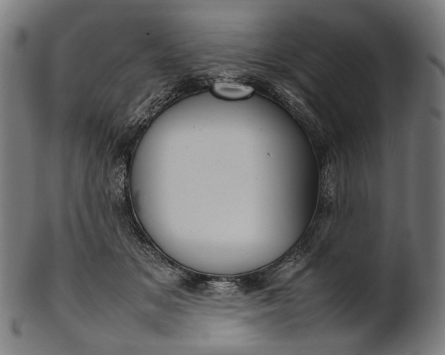 X0000101220509200807111100