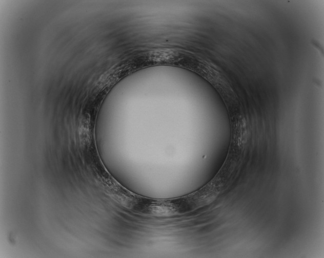 X0000101220510200807111100