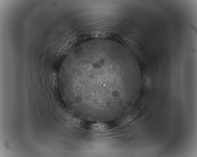 X0000101220511200807111100