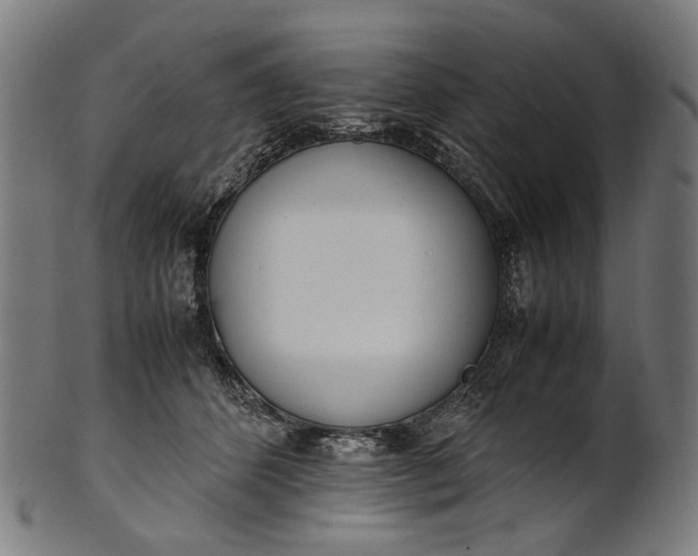 X0000101220512200807111100