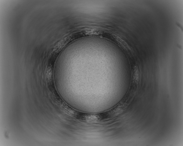 X0000101220513200807111100