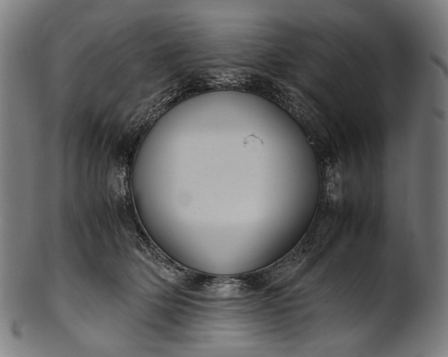 X0000101220514200807111100