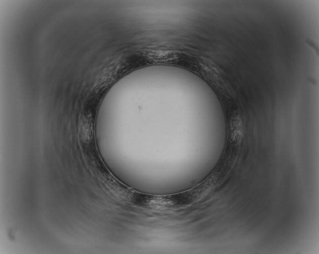 X0000101220515200807111059