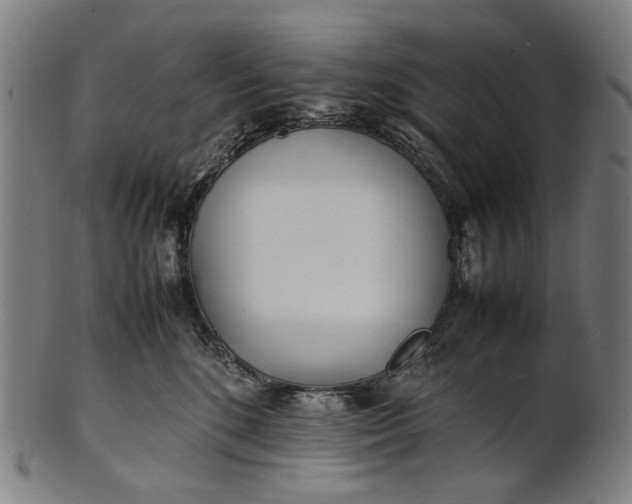 X0000101220520200807111059