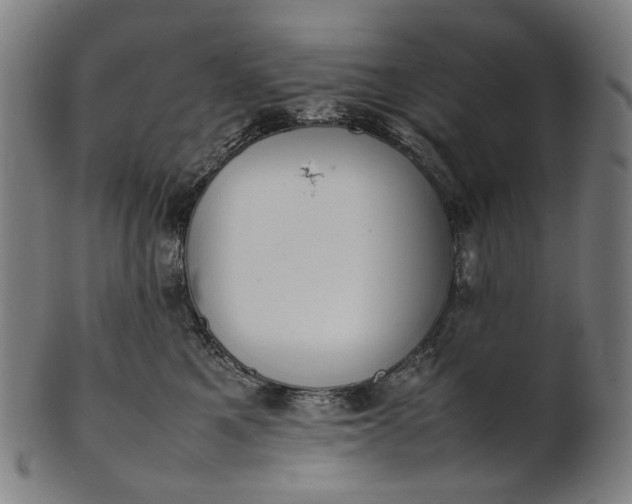 X0000101220521200807111059