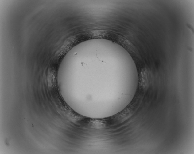 X0000101220522200807111059