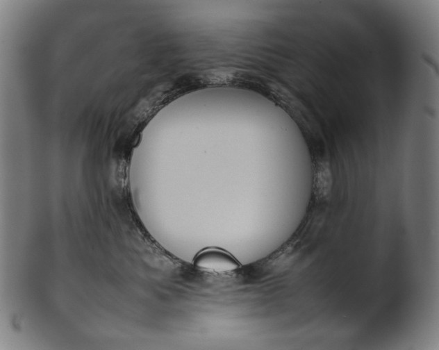 X0000101220525200807111059