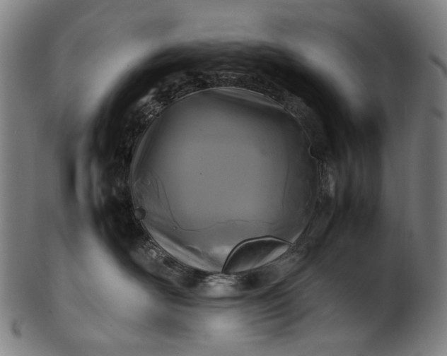 X0000101220526200807111059