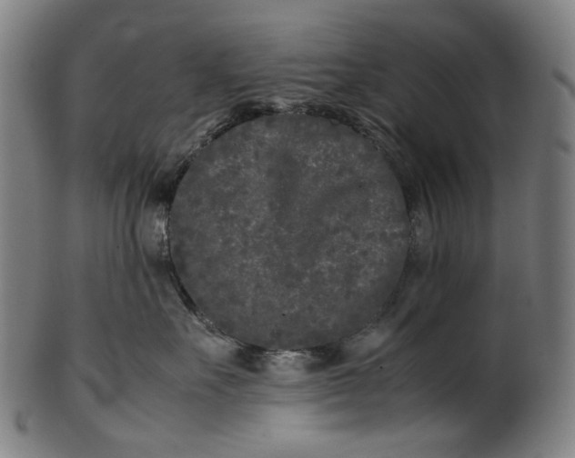 X0000101220527200807111059