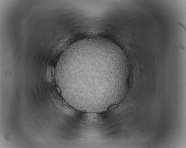 X0000101220528200807111059